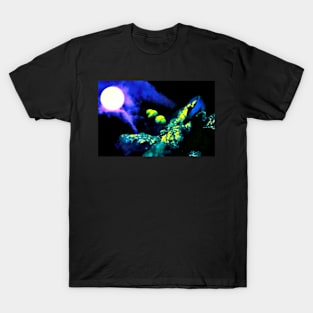 The Full Moon Acorns T-Shirt